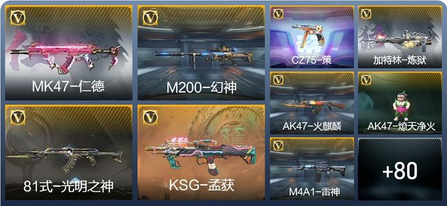 穿越火线：枪战王者V2 1王者武器 134英雄武器 1111万化 新锐