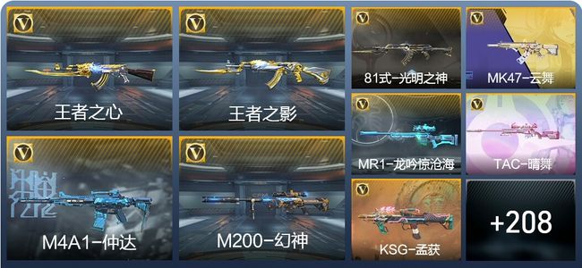 穿越火线：枪战王者V5 6王者武器 234英雄武器 8英雄角色 393万化 枪皇