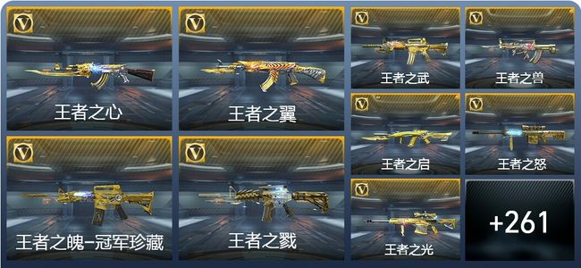 穿越火线：枪战王者V10 31王者武器 288英雄武器 608万化 枪圣