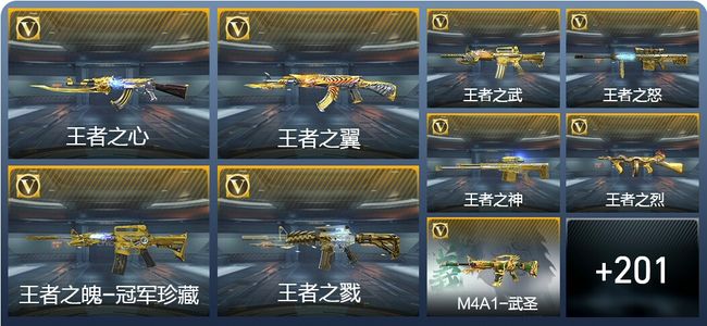 穿越火线：枪战王者V9 23王者武器 228英雄武器 1111万化 大师SS