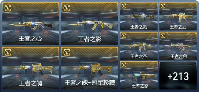 穿越火线：枪战王者V9 37王者武器 237英雄武器 56英雄角色 595万化 枪圣