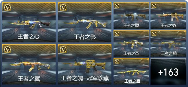 穿越火线：枪战王者V9 24王者武器 220英雄武器 48英雄角色 465万化 专家