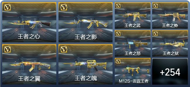 穿越火线：枪战王者V9 33王者武器 286英雄武器 50英雄角色 393万化 枪圣