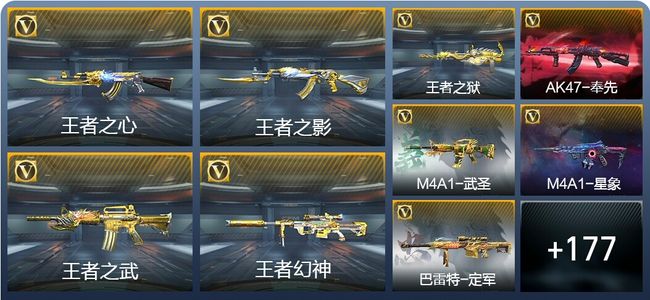 穿越火线：枪战王者V8 16王者武器 204英雄武器 40英雄角色 402万化 大师