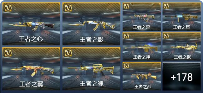 穿越火线：枪战王者V9 19王者武器 204英雄武器 1231万化 专家S