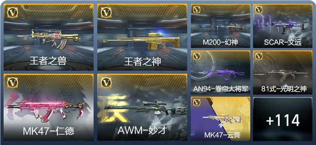 穿越火线：枪战王者2王者武器 139英雄武器 211万化 枪皇S