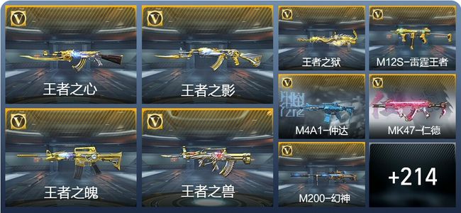 穿越火线：枪战王者V8 10王者武器 245英雄武器 524万化 新锐