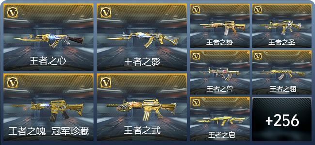 穿越火线：枪战王者V9 37王者武器 296英雄武器 422万化 新锐