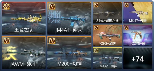 穿越火线：枪战王者V2 4王者 181英雄武器 283万化 精英