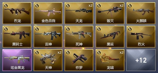 穿越火线（CF）1炫金武器 25V武器 1V角色 10皮肤 可排位 专家
