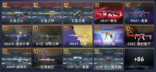穿越火线：枪战王者V6 专家S