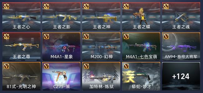 穿越火线：枪战王者V6 专家S