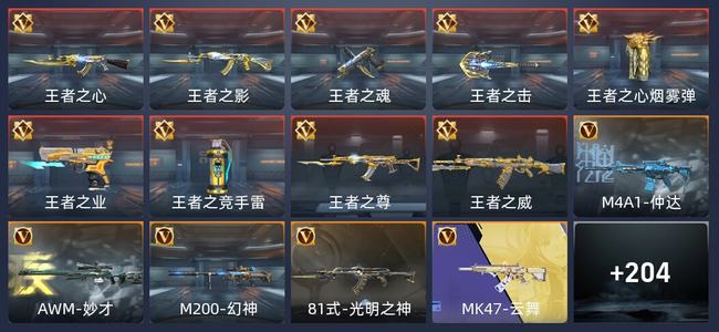 穿越火线：枪战王者V7 9王者 238英雄武器 211万化 专家S