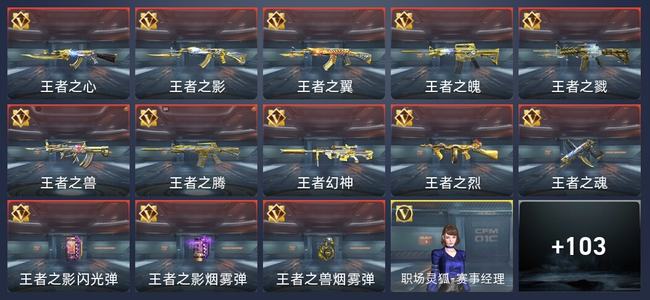 穿越火线：枪战王者10王者 237英雄武器 1英雄角色 38万化 新锐