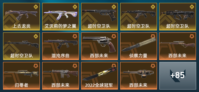 无畏契约24橙皮 6金皮 9紫皮 99皮肤 67870皮肤总价值 1245已用源晶