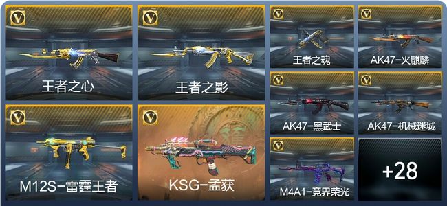 穿越火线：枪战王者V5 111英雄武器 新锐