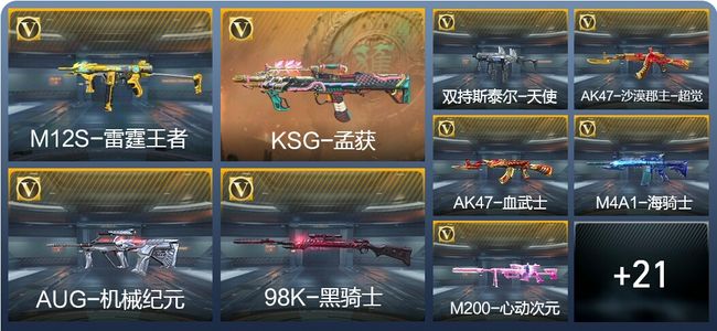 穿越火线：枪战王者V2 109英雄武器 新锐