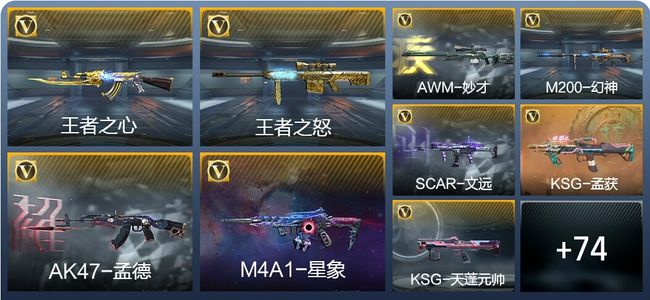 穿越火线：枪战王者V9 188英雄武器 新锐