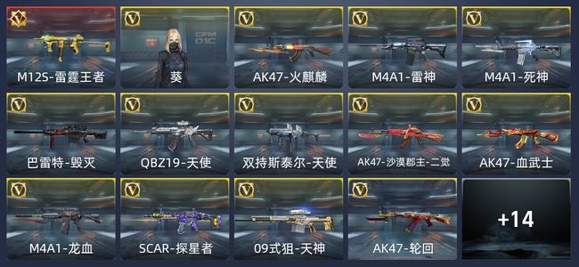 穿越火线：枪战王者V1 57英雄武器 新锐