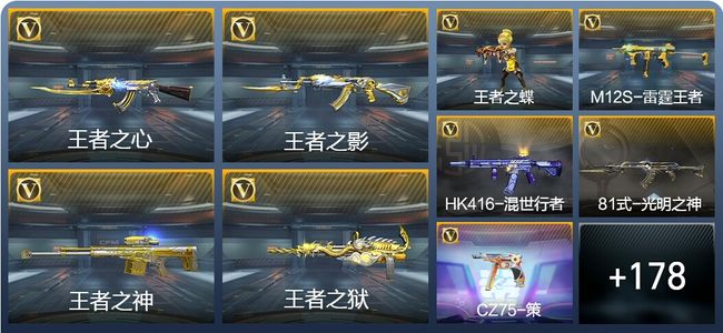 穿越火线：枪战王者V6 12王者武器 205英雄武器 3英雄角色 333万化 枪圣S