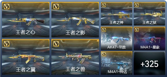 穿越火线：枪战王者19王者武器 334英雄武器 13英雄角色 573万化 专家S