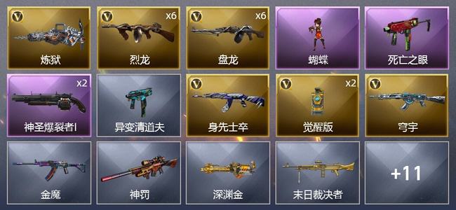 穿越火线（CF）17V武器 1V角色 2皮肤 可排位 新锐
