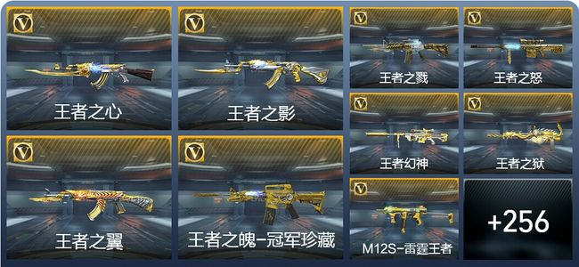 穿越火线：枪战王者V9 27王者武器 278英雄武器 9英雄角色 512万化 大师