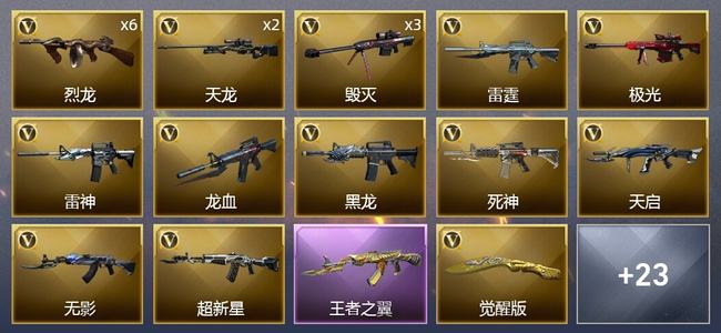 穿越火线（CF）0传说角色 0传说武器 2王者武器 2炫金武器 63V武器 2V角色 5皮肤 新锐