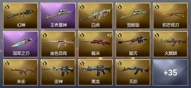 穿越火线（CF）3王者武器 1炫金武器 55V武器 19皮肤 可排位