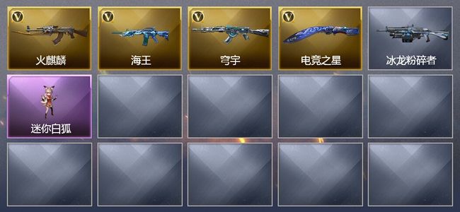 穿越火线（CF）4V武器 1皮肤 可排位