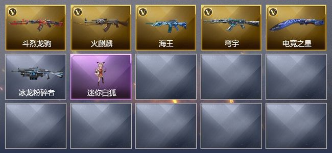 穿越火线（CF）5V武器 1皮肤 可排位 传奇