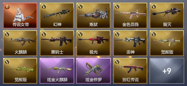 穿越火线（CF）1传说角色 2炫金武器 16V武器 2V角色 6皮肤 可排位 新锐