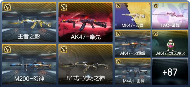 穿越火线：枪战王者V5 5王者武器 108英雄武器 2英雄角色 159万化 专家S