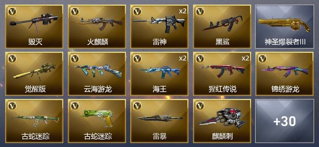 穿越火线（CF）23V武器 7皮肤 可排位 新锐