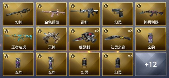 穿越火线（CF）23V武器 1V角色 2皮肤 可排位 宗师