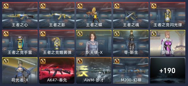穿越火线：枪战王者7王者 200英雄武器 4英雄角色 215万化 专家S