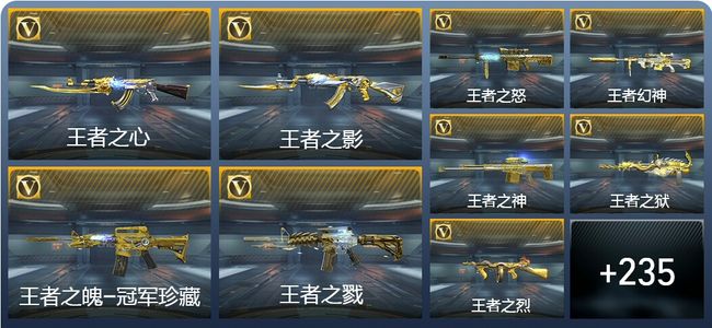 穿越火线：枪战王者20王者武器 244英雄武器 12英雄角色 511万化 专家S