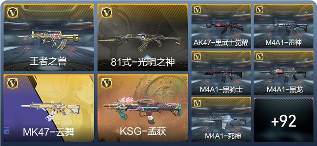 穿越火线：枪战王者2王者武器 101英雄武器 5英雄角色 120万化 枪皇SSS