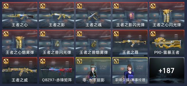 穿越火线：枪战王者V5 12王者 193英雄武器 8英雄角色 330万化 枪神
