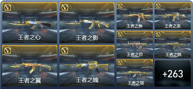 穿越火线：枪战王者V9 65王者武器 272英雄武器 14英雄角色 462万化 枪皇SS