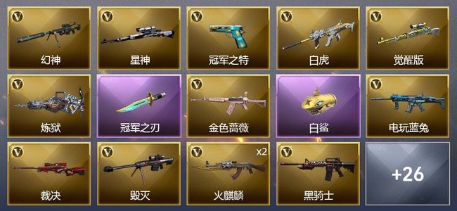 穿越火线（CF）3王者武器 1炫金武器 31V武器 1V角色 24皮肤 可排位 枪王