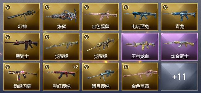 穿越火线（CF）1王者武器 1炫金武器 19V武器 2V角色 4皮肤 可排位 专家