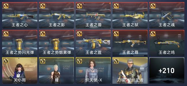 穿越火线：枪战王者V5 10王者 236英雄武器 5英雄角色 330万化 枪神
