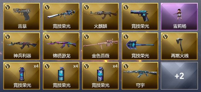 穿越火线（CF）22V武器 1V角色 1皮肤 可排位 传奇