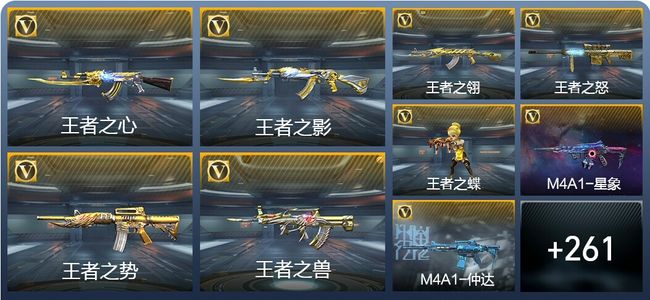 穿越火线：枪战王者V8 23王者武器 273英雄武器 13英雄角色 521万化 枪王SS