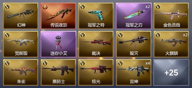 穿越火线（CF）1传说武器 1王者武器 49V武器 24皮肤 可排位 新锐