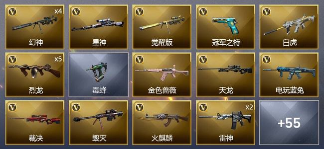穿越火线（CF）5王者武器 2炫金武器 69V武器 20皮肤 可排位 枪王