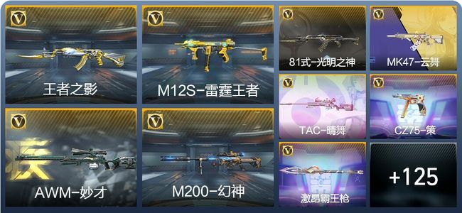 穿越火线：枪战王者V5 6王者武器 151英雄武器 5英雄角色 307万化 专家S