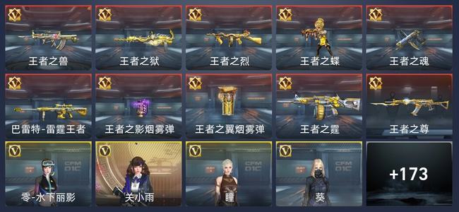 穿越火线：枪战王者V5 10王者 176英雄武器 11英雄角色 311万化 专家