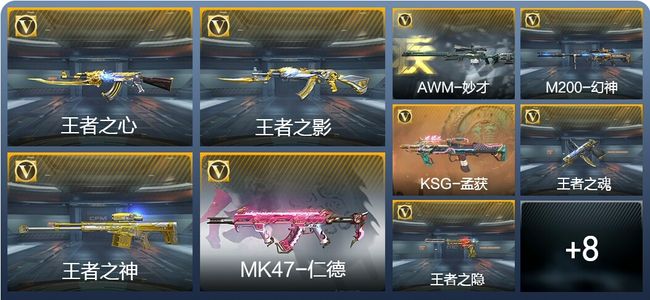 穿越火线：枪战王者V8 1王者武器 220英雄武器 1英雄角色 1万化 专家